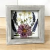 Cosmos, Veronica And Chrysanthemum Wildflowers In 6" X 6" Shadow Box (Item# 202214S)