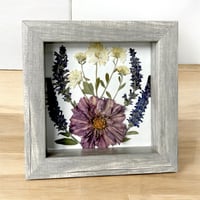 Image 4 of Cosmos, Veronica And Chrysanthemum Wildflowers In 6" X 6" Shadow Box (Item# 202214S)