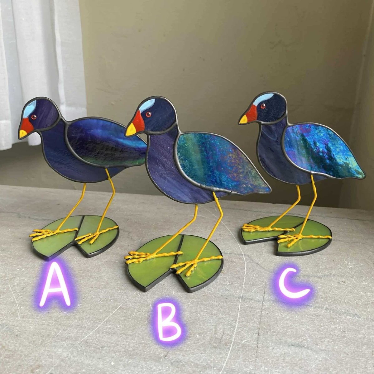 Image of Purple Gallinules 