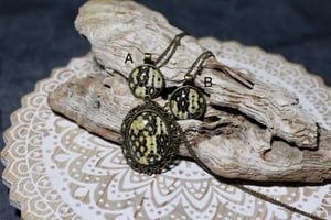 Image of ‘Bumblebee’  Bronze Collection- Madagascar Hognose 