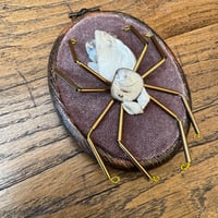 Image 1 of Spider (c, 2x2.5 inches)