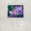 Image 2 of Wild Orchid Hummingbird Poster
