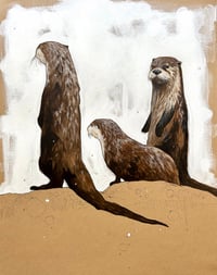 Image 1 of ORIGINAL - Otter Pause