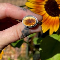 Image 2 of Dendrite Agate Bloom Ring~8