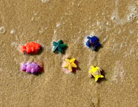 Image 2 of Crazy crayons, Fish and turtles and sea stars