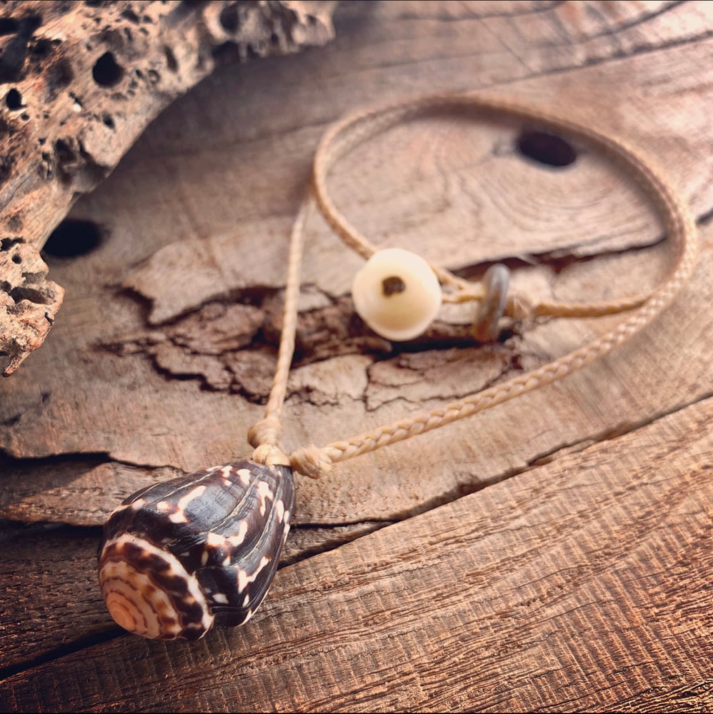 Image of Hawaiian Chaldean cone shell necklace