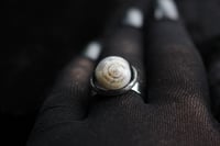 Image 8 of Dead Good snail shell ring