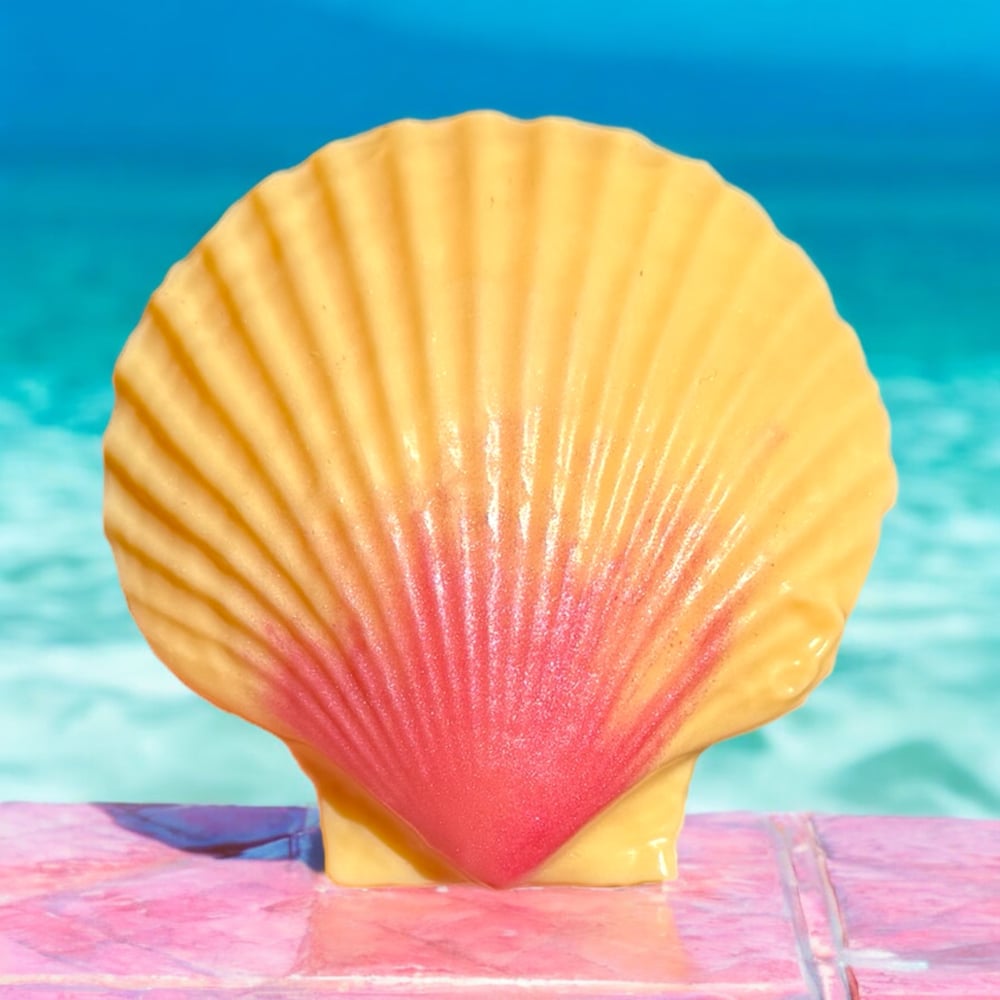 Image of Sunrise Shell Bar Soap