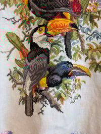 Image 16 of Toucan jacket  (s-xl)