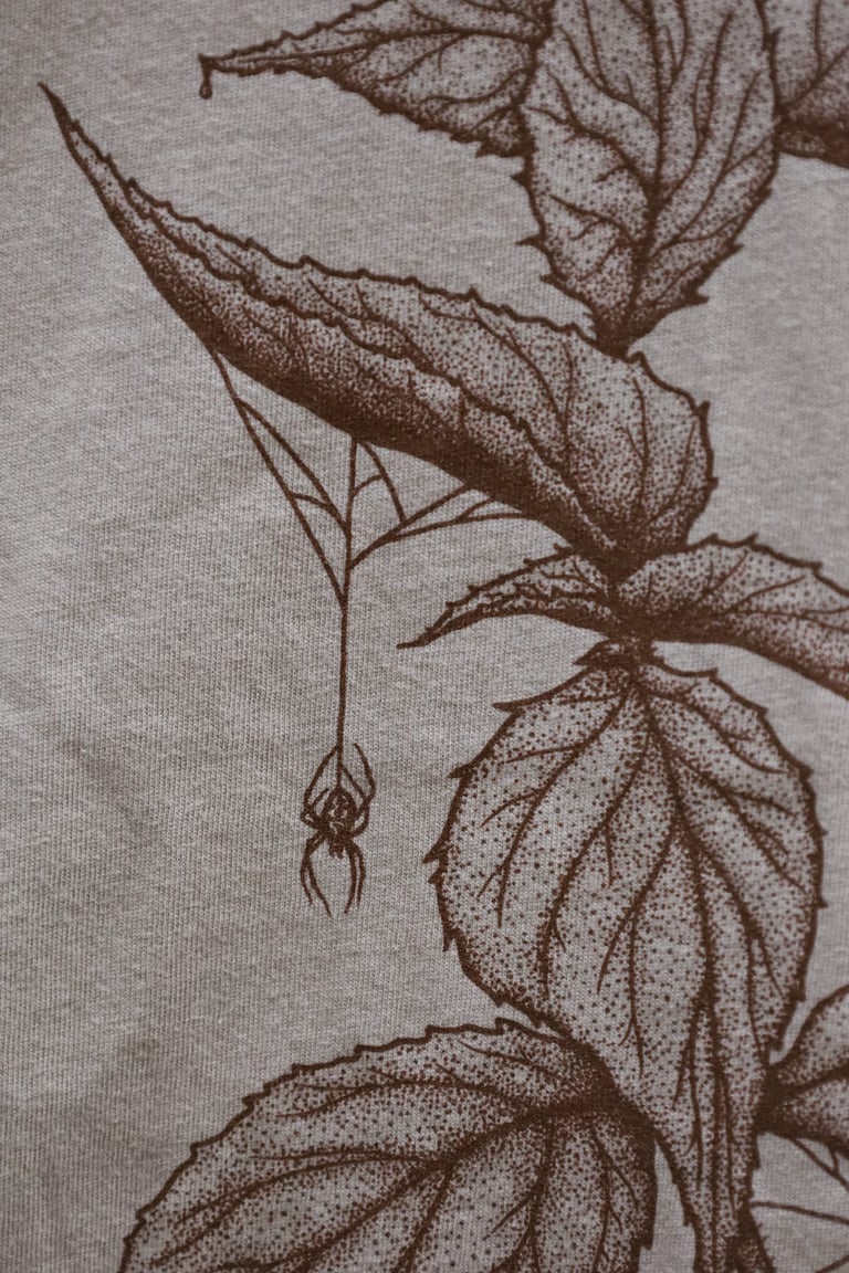 Nettle Image 4