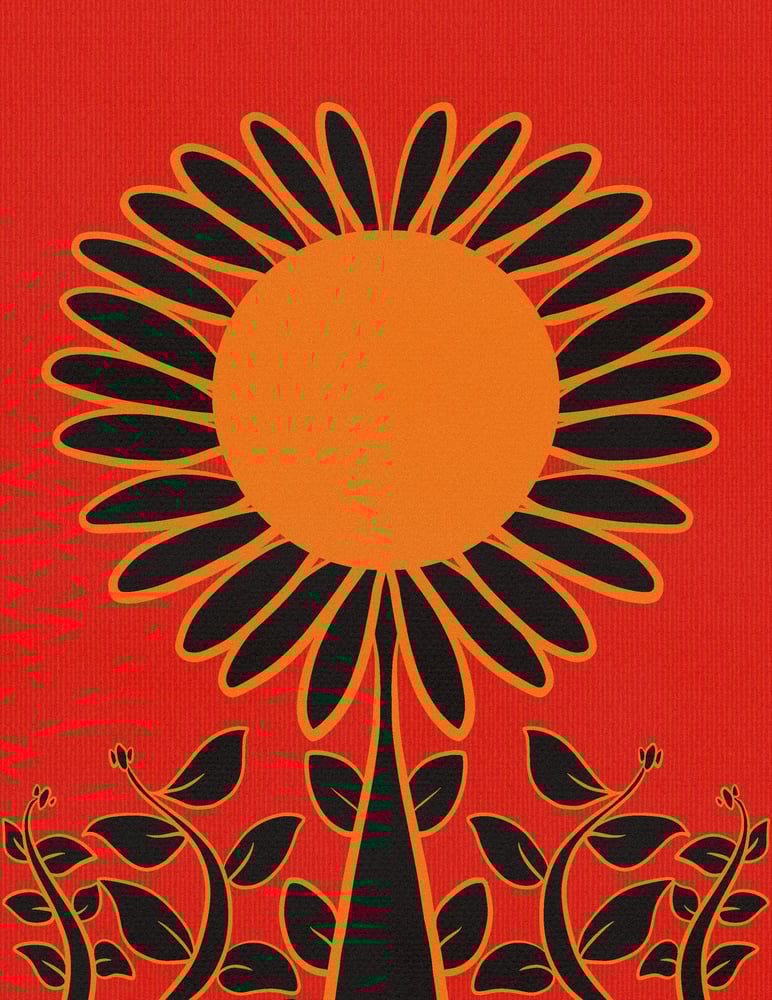 Image of bloom