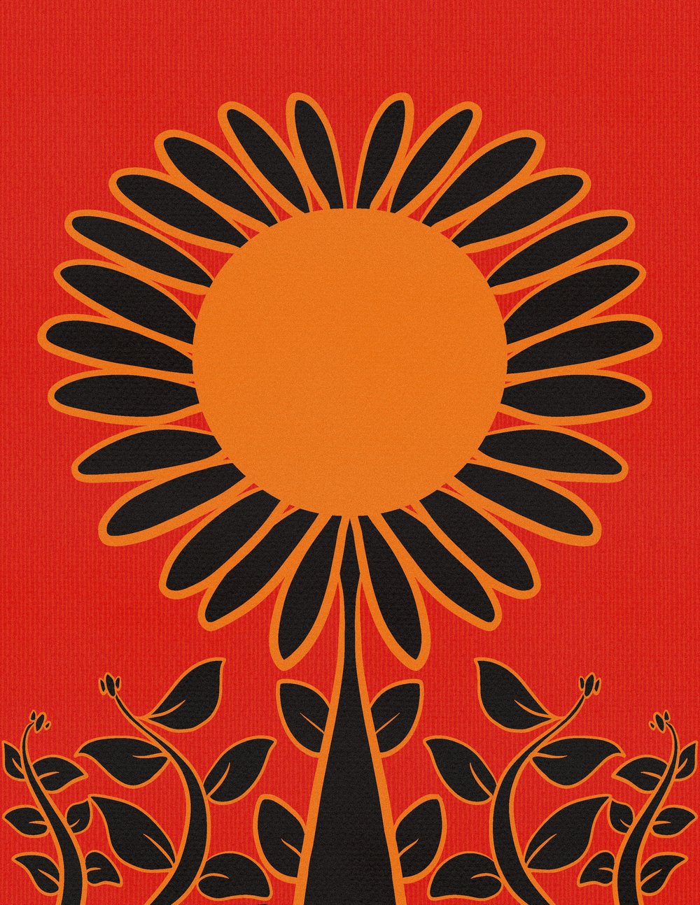 Image of bloom