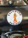 Tecumseh Girl Engine Decals!! (FREE USA SHIPPING)