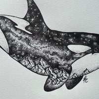 Image 5 of Milkyway Orca 