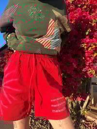 Image 2 of Mansplain Malewife Shorts SMALL