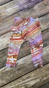 Image 4 of Wild Peanut