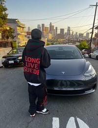 Image 3 of Long Live suede hoodies 
