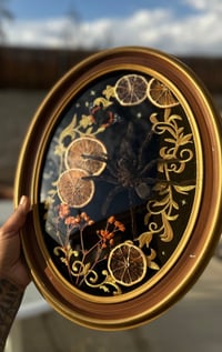 Image 1 of bittersweet bloom