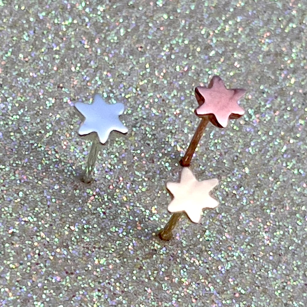 Image of Mini Chapter Stars Earrings