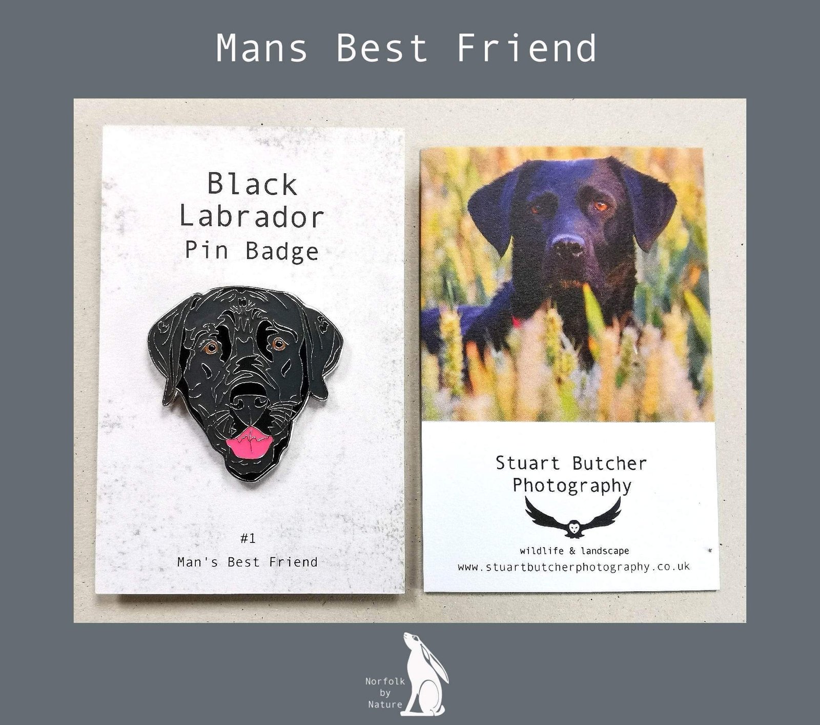 Labrador pin best sale