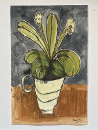 Auricula in a cream cup - mixed media