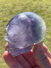 Image 11 of Rainbow Fluorite Crystal Skull #1965