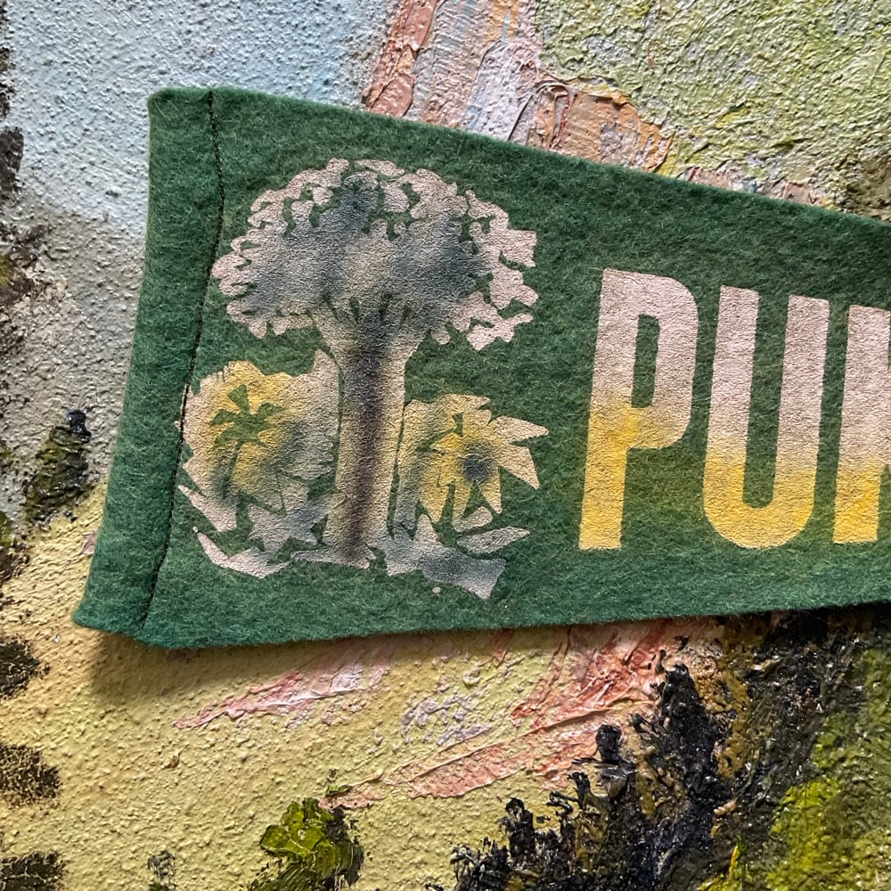 Image of Puketi Forest Pennant