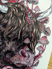 Image 2 of A5 Highland cow print