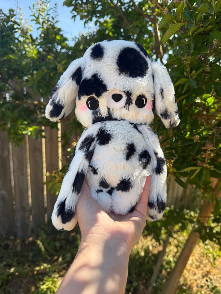 Image of dalmation baby