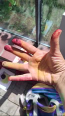 Image 2 of Farbenfroh durch das Jahr