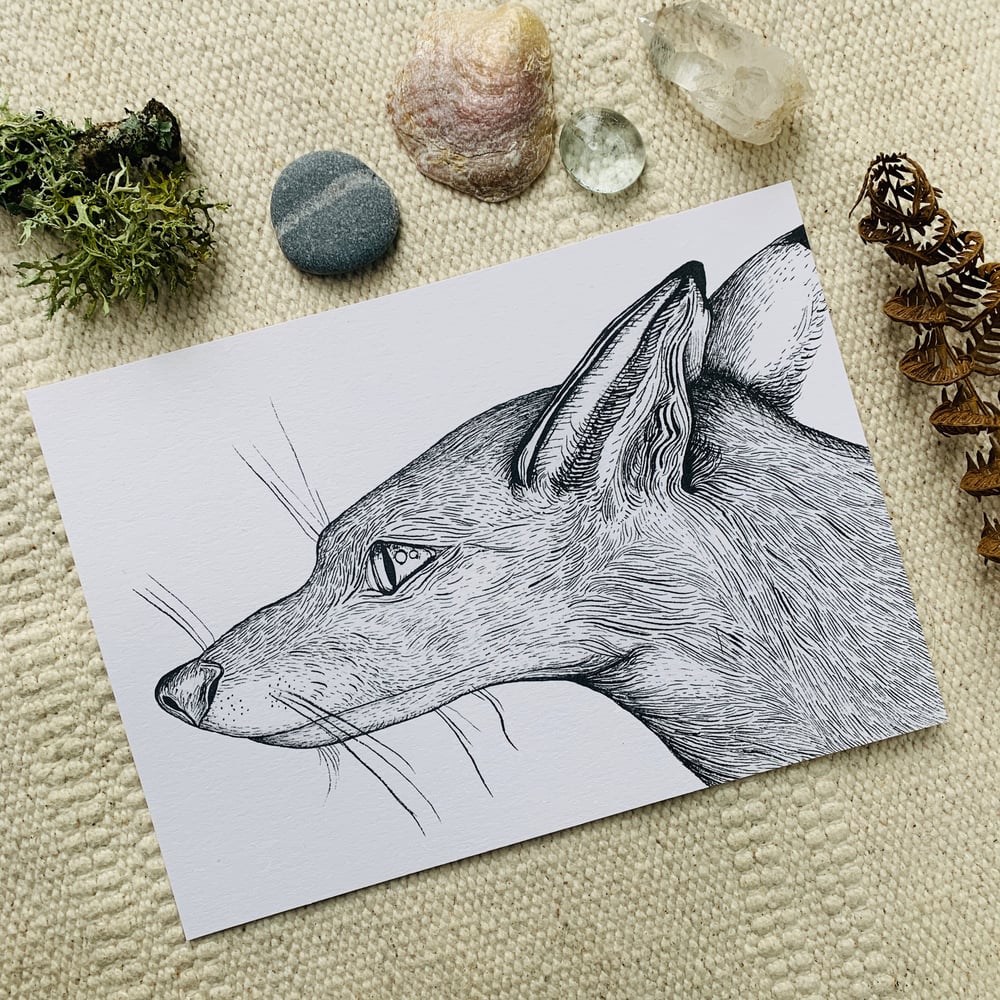 Image of Fox Ink Painting Print