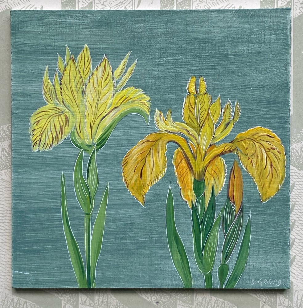 Image of Iris (B)