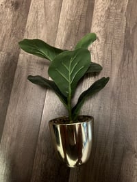 Image 1 of faux mini plant 