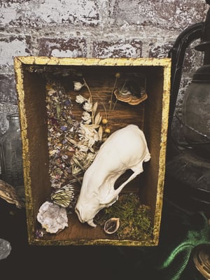 Image of Gold Leafed Fisher Shadowbox 