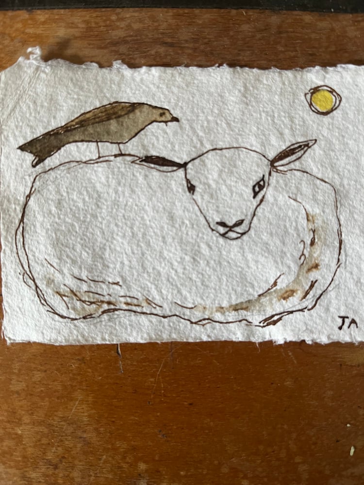 Image of Sheep and bird resting. 