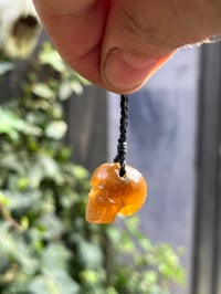 Image 2 of Toffee Amber Skull