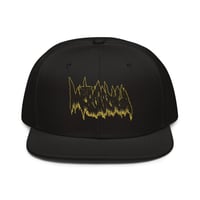 Metrorrhagia Snapback Hat