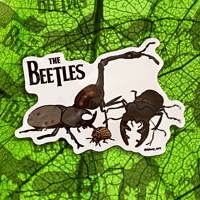 Image 1 of Bug Stickers! (See all!!!)