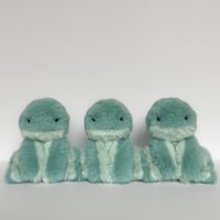 Teal Hops Preorder
