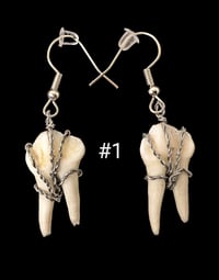 Image 1 of Small Deer Molar Earrings