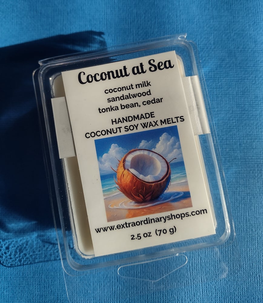 Image of Wax Melts (Single Pack)