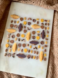 Image 5 of Botticino #4