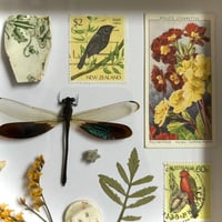 Image 4 of trinket frame #2