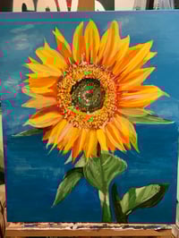 Image 1 of Sunflower for Ukraine 
