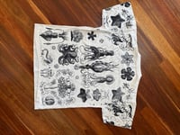 Image 3 of Sea Creatures T-shirt