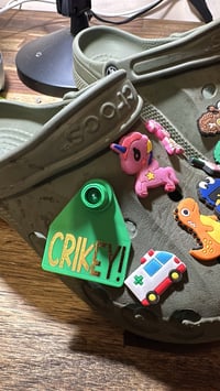 Image 4 of CROC TAGS