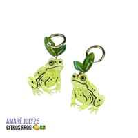 Citrus frog 🍋🐸
