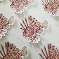 Lionfish