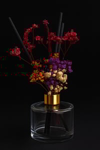 Purple,red orange, white flower reed 