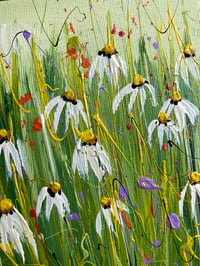 Image 4 of March Daisies